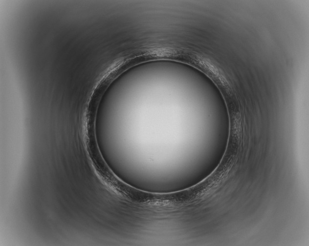 X0000116670730200912211603