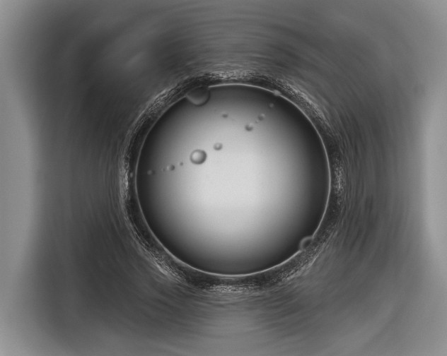 X0000116670733200912211603