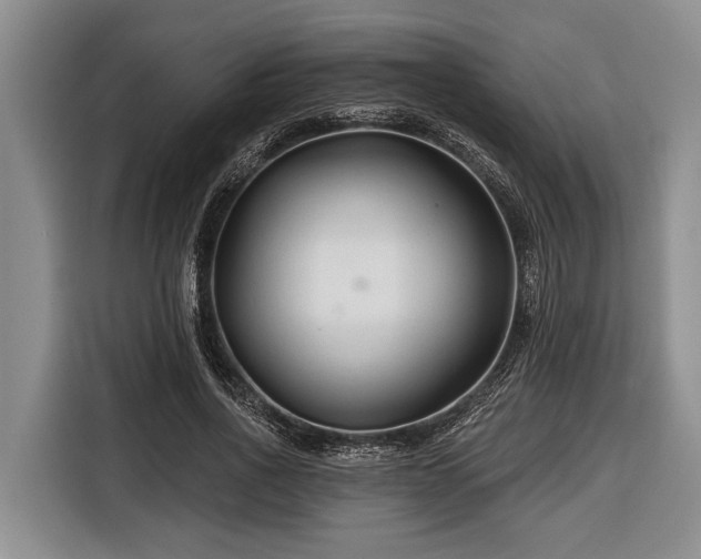 X0000116670734200912211603