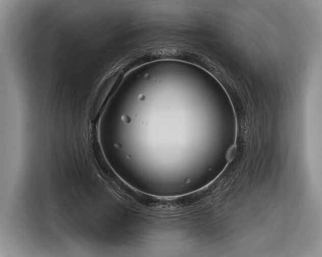 X0000116670735200912211603