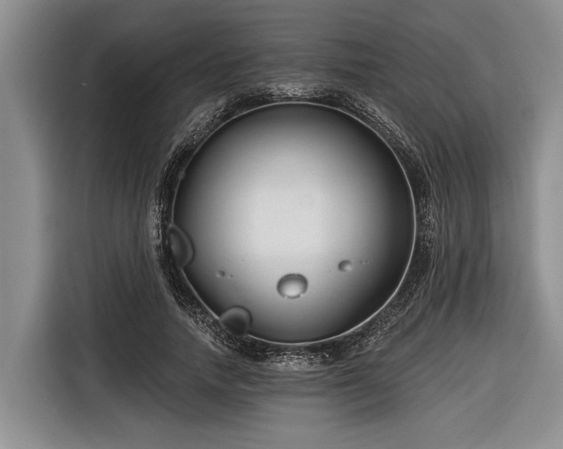 X0000116670738200912211603