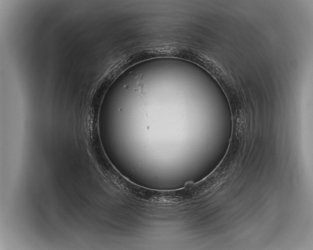 X0000116670739200912211603