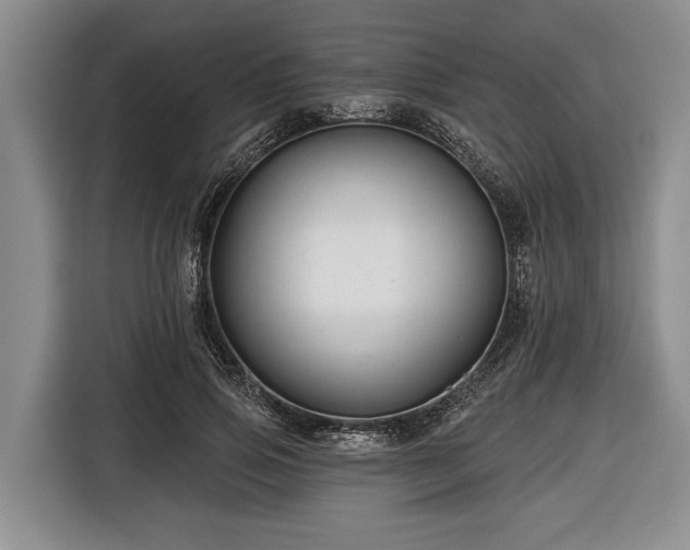 X0000116670741200912211603