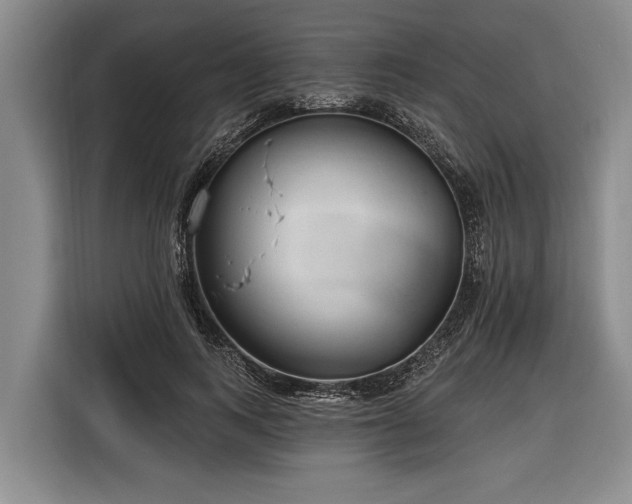 X0000116670743200912211603