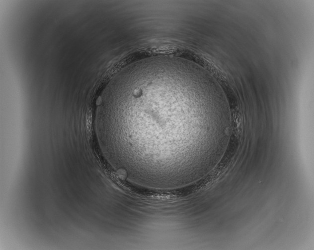 X0000116670745200912211603