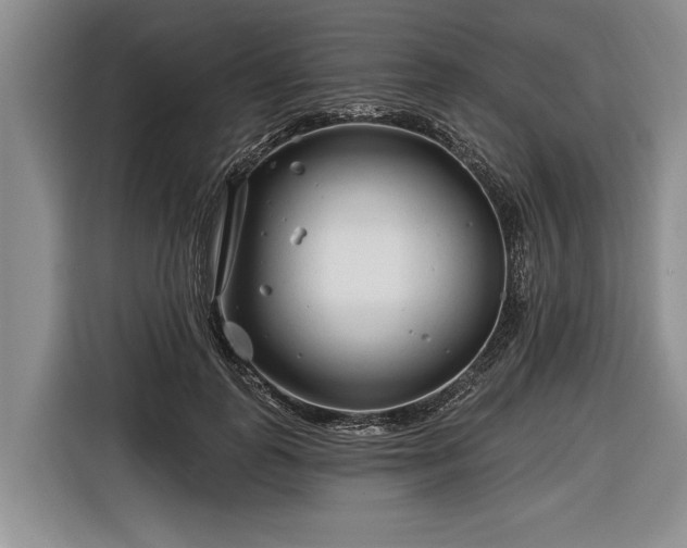 X0000116670747200912211603