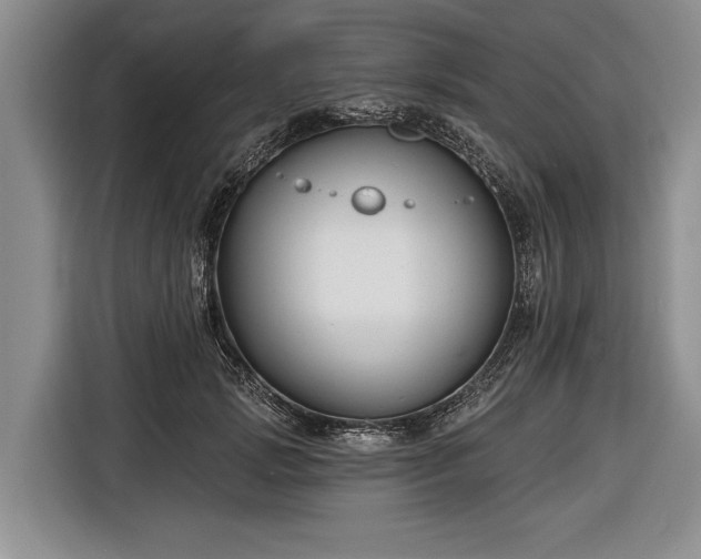 X0000116670749200912211603