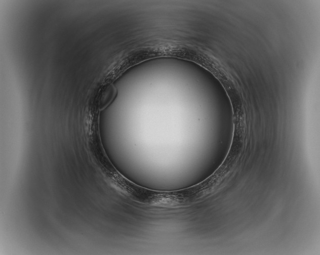 X0000116670750200912211603