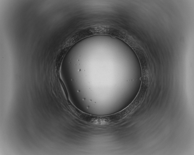 X0000116670751200912211603