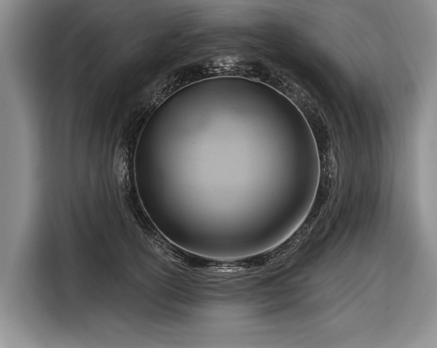 X0000116670754200912211603