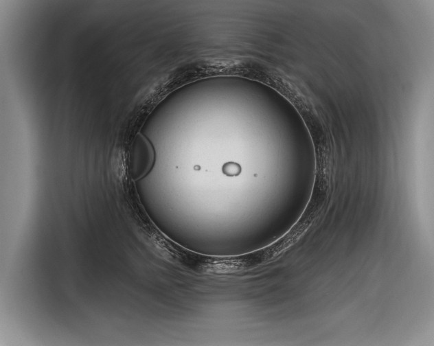 X0000116670758200912211603