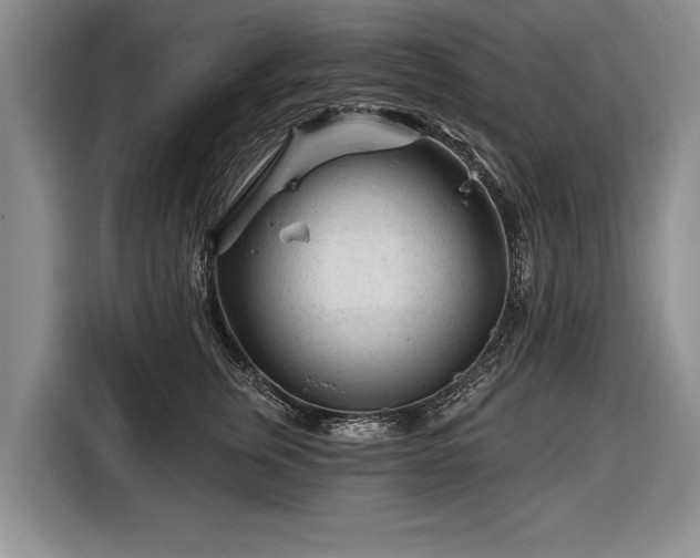 X0000116670759200912211603