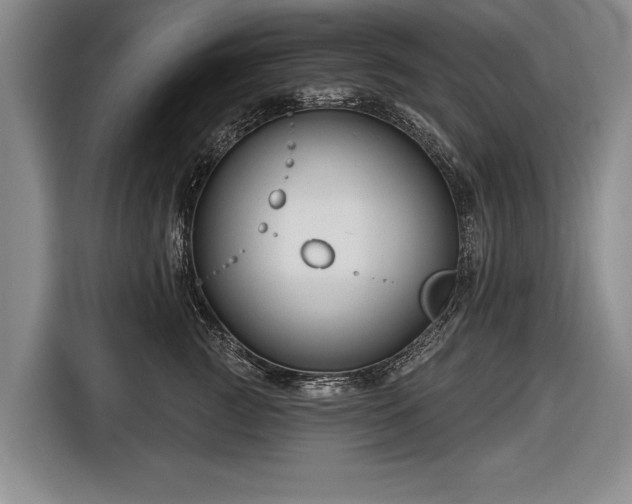 X0000116670761200912211603