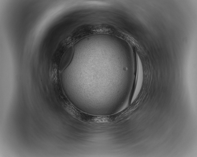 X0000116670762200912211603