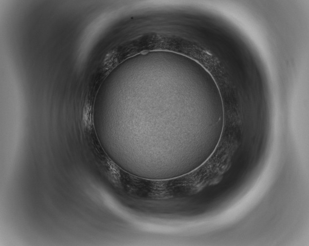 X0000116670766200912211603