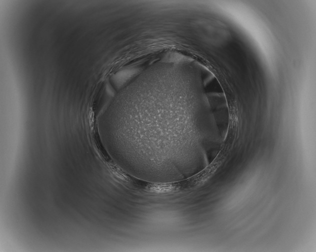 X0000116670767200912211603