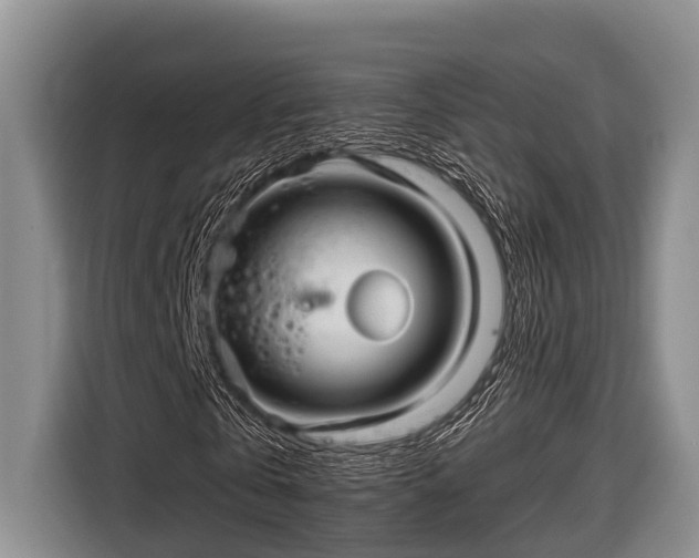 X0000116670769200912211603