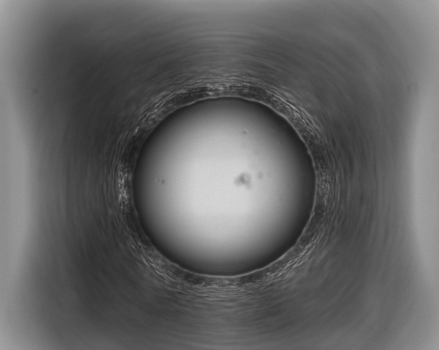 X0000116670770200912211603