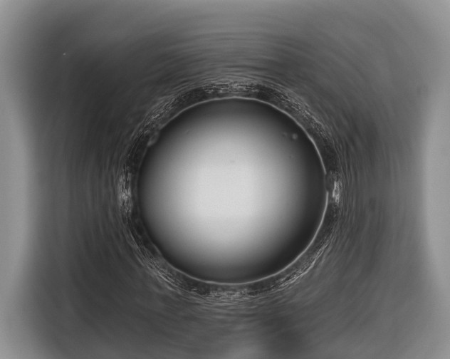 X0000116670771200912211603