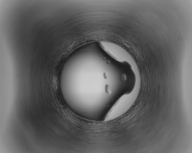 X0000116670772200912211603