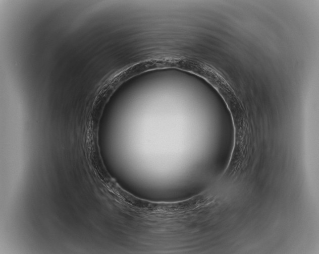 X0000116670773200912211603