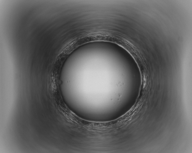 X0000116670774200912211603