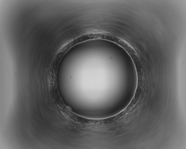 X0000116670775200912211603