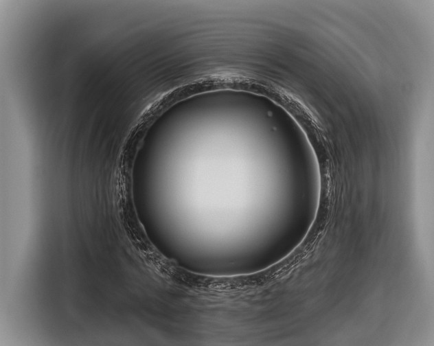 X0000116670776200912211603