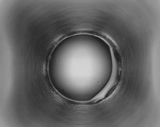 X0000116670777200912211603