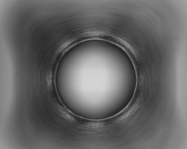 X0000116670778200912211603