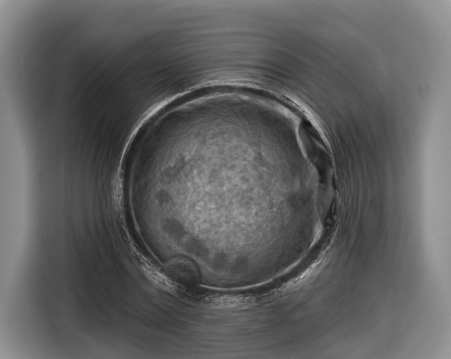 X0000116670779200912211603