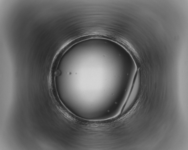 X0000116670780200912211603