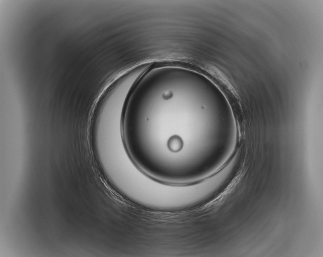 X0000116670781200912211603