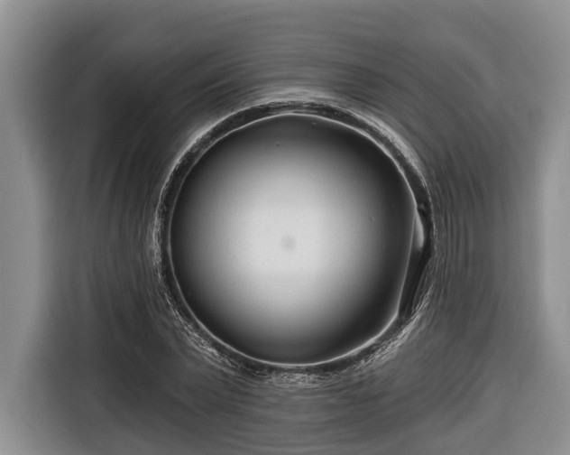 X0000116670783200912211603