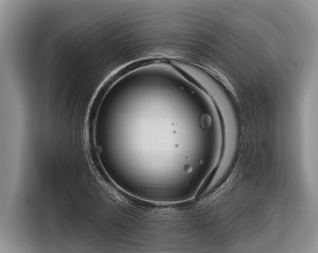 X0000116670784200912211603