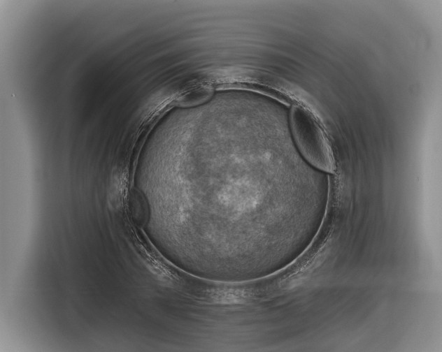 X0000116670785200912211603