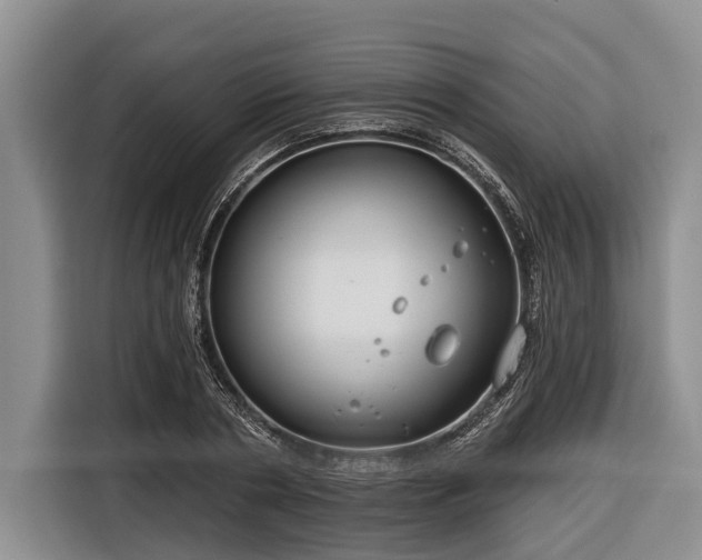 X0000116670786200912211603