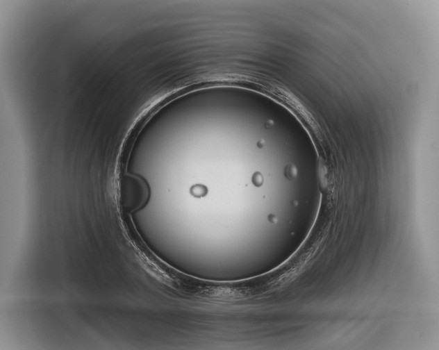 X0000116670787200912211603