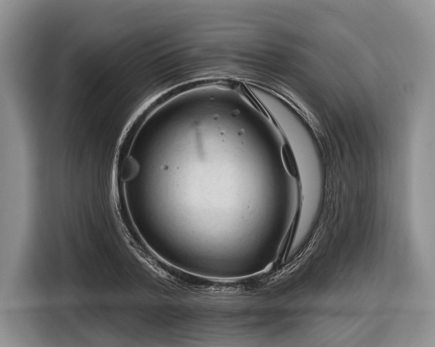 X0000116670788200912211603