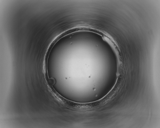 X0000116670791200912211603