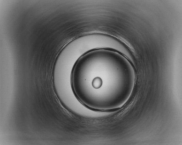 X0000116670793200912211602