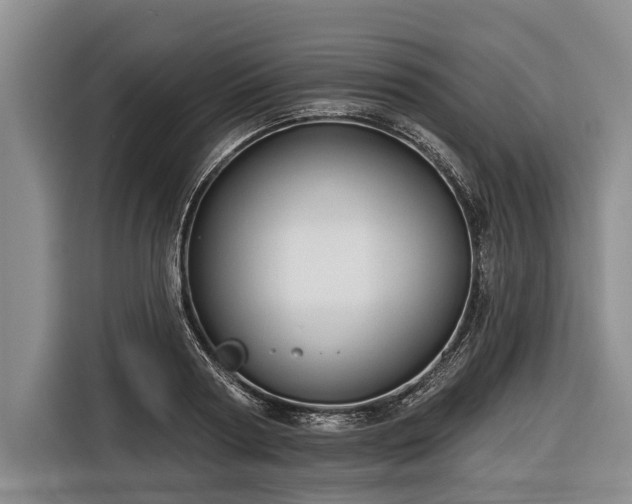 X0000116670794200912211602