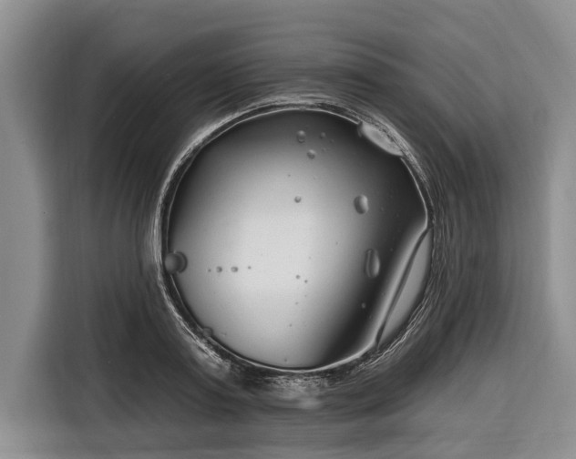 X0000116670795200912211602