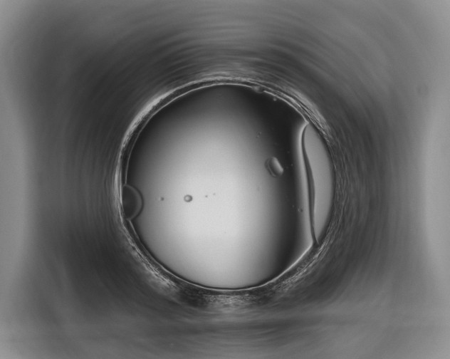 X0000116670796200912211602