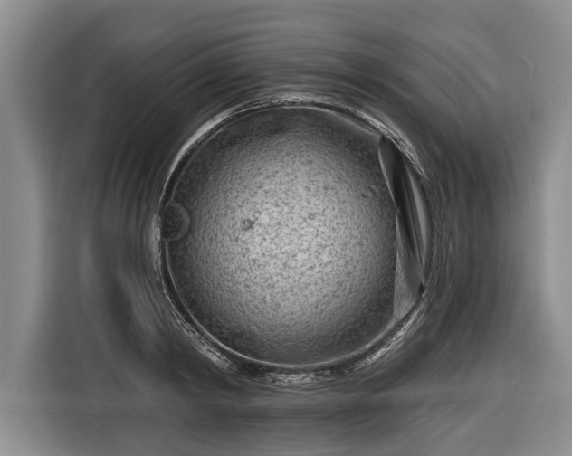 X0000116670798200912211602