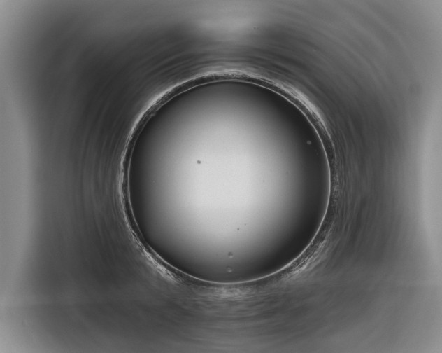 X0000116670799200912211602