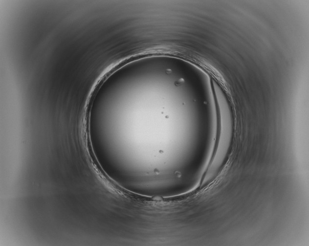 X0000116670800200912211602