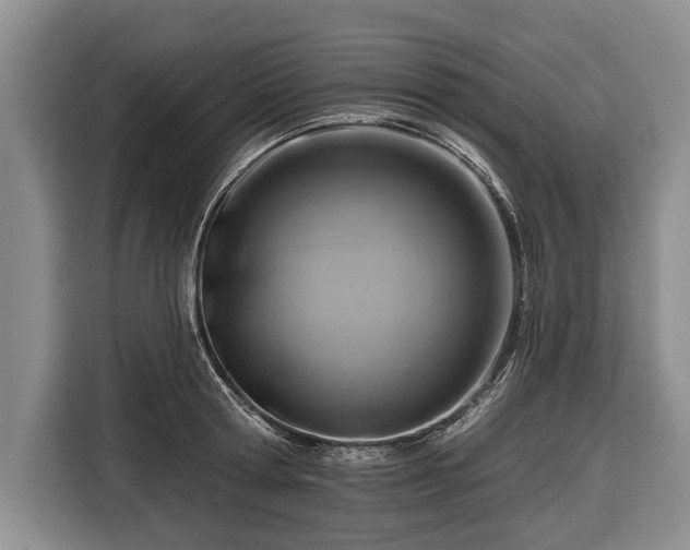 X0000116670802200912211602