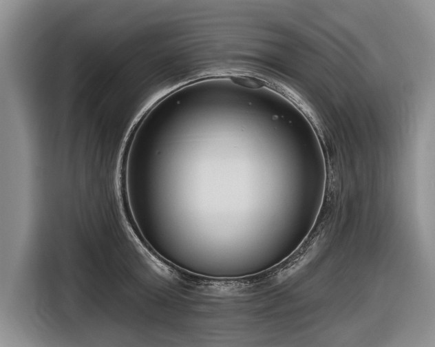 X0000116670803200912211602