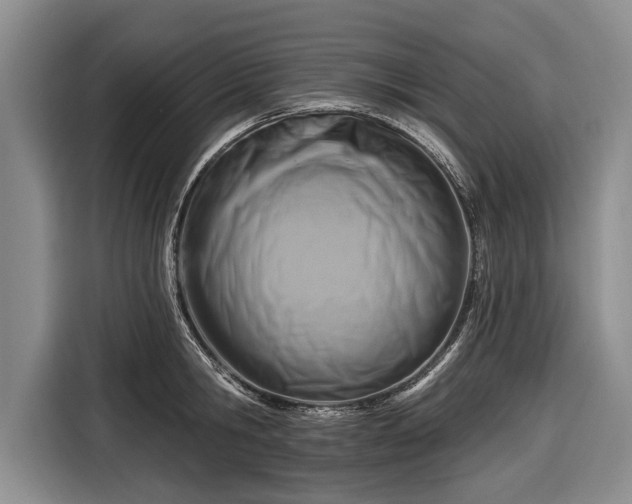 X0000116670806200912211602